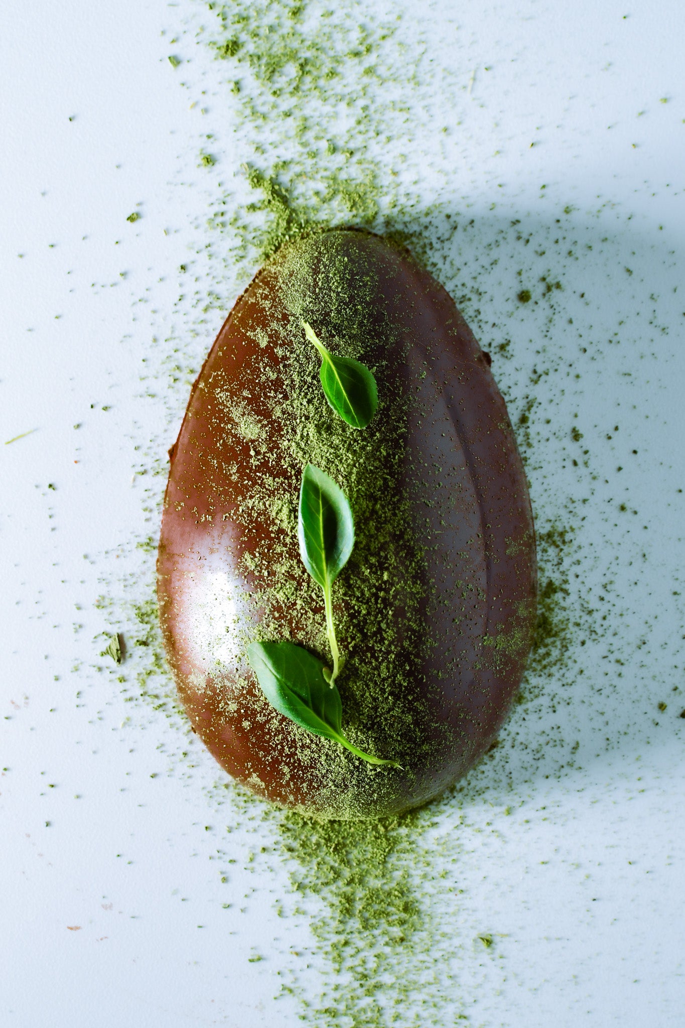 Solara & Viridia Limited Edition