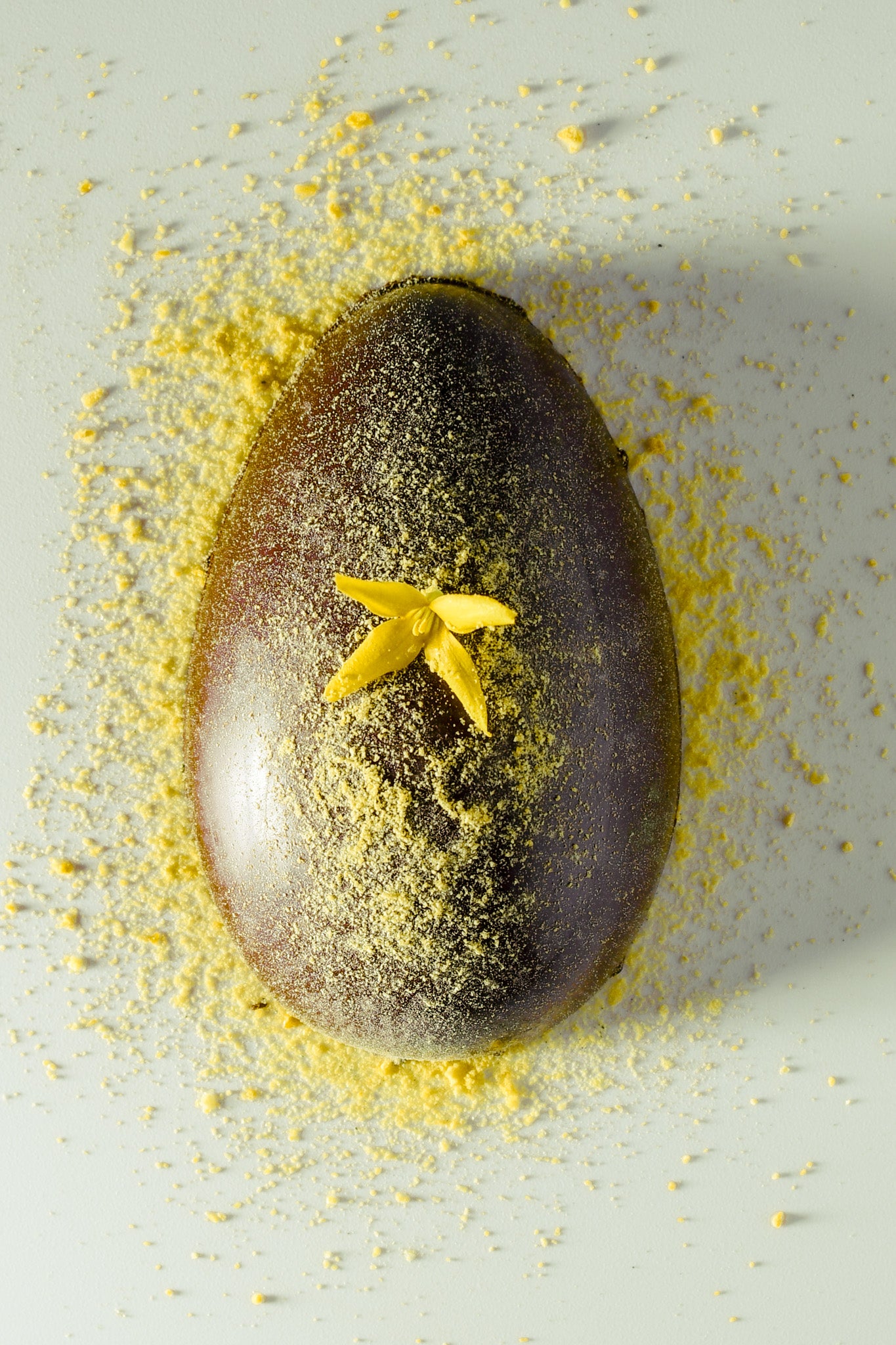 Solara & Viridia Limited Edition